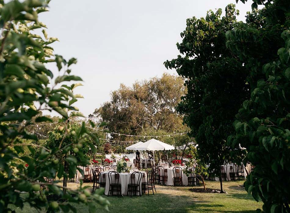 Wedding marquee set up at Rosemont Estate by Truffleduck