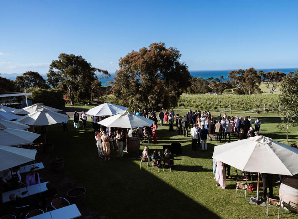 Wedding reception / cocktail hour at Terindah Estate